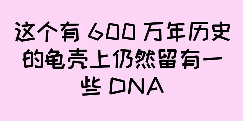 这个有 600 万年历史的龟壳上仍然留有一些 DNA