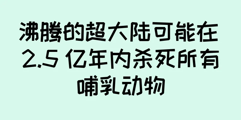 沸腾的超大陆可能在 2.5 亿年内杀死所有哺乳动物