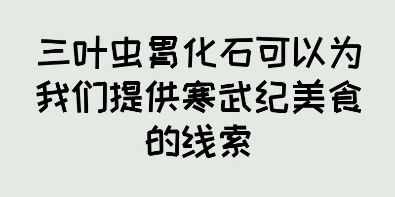 三叶虫胃化石可以为我们提供寒武纪美食的线索