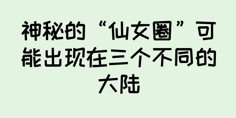 神秘的“仙女圈”可能出现在三个不同的大陆
