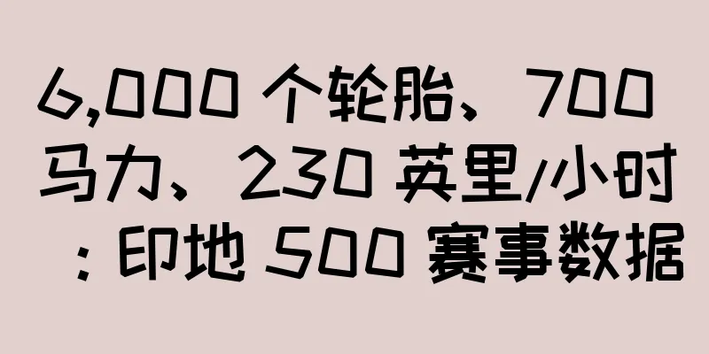 6,000 个轮胎、700 马力、230 英里/小时：印地 500 赛事数据