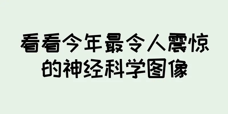看看今年最令人震惊的神经科学图像