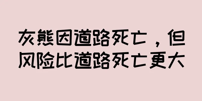 灰熊因道路死亡，但风险比道路死亡更大