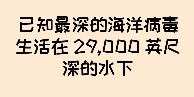 已知最深的海洋病毒生活在 29,000 英尺深的水下