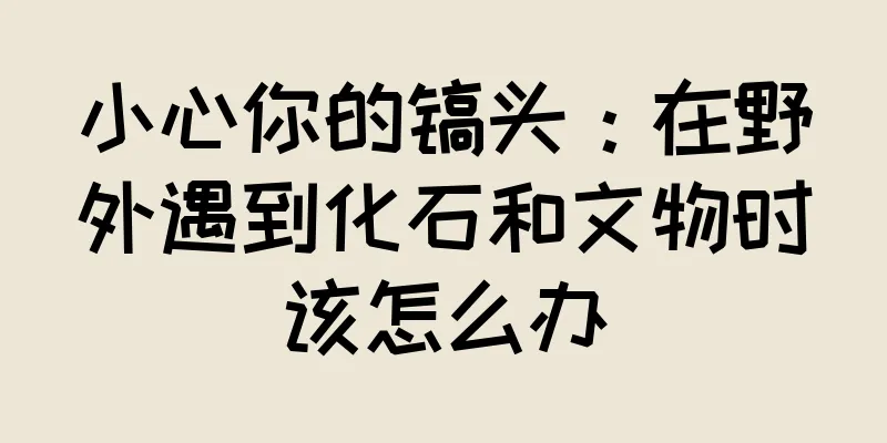 小心你的镐头：在野外遇到化石和文物时该怎么办