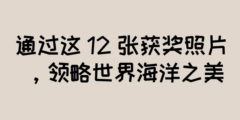 通过这 12 张获奖照片，领略世界海洋之美