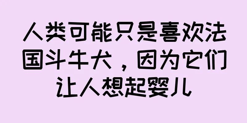 人类可能只是喜欢法国斗牛犬，因为它们让人想起婴儿