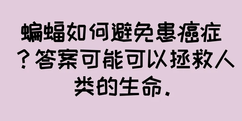 蝙蝠如何避免患癌症？答案可能可以拯救人类的生命。