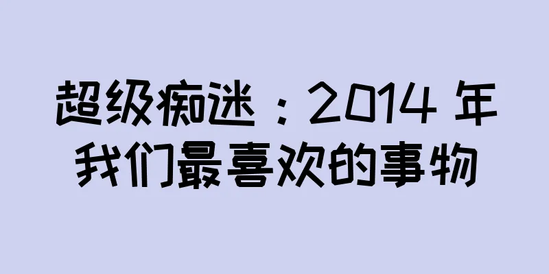 超级痴迷：2014 年我们最喜欢的事物