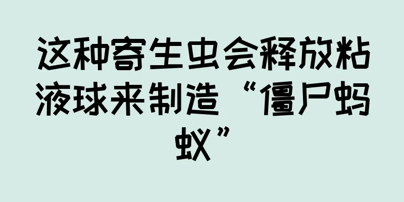 这种寄生虫会释放粘液球来制造“僵尸蚂蚁”