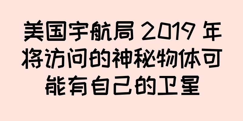 美国宇航局 2019 年将访问的神秘物体可能有自己的卫星