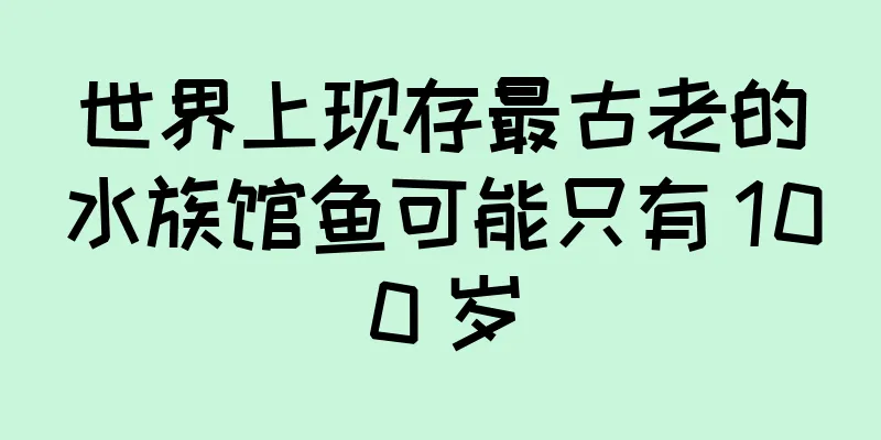 世界上现存最古老的水族馆鱼可能只有 100 岁