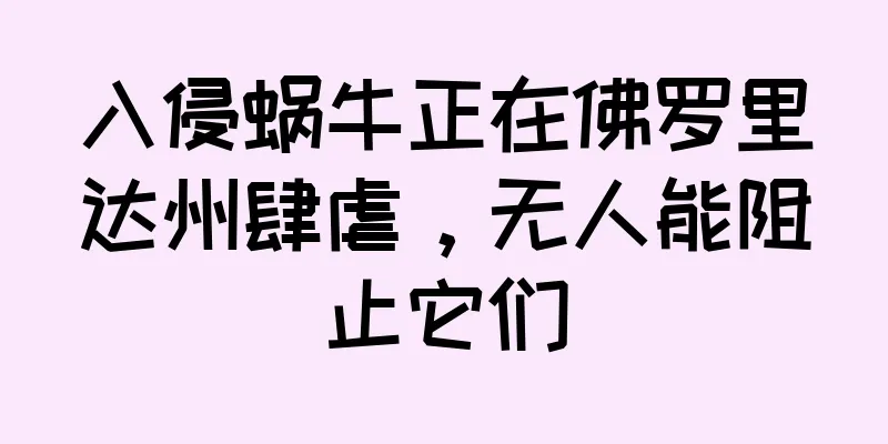 入侵蜗牛正在佛罗里达州肆虐，无人能阻止它们