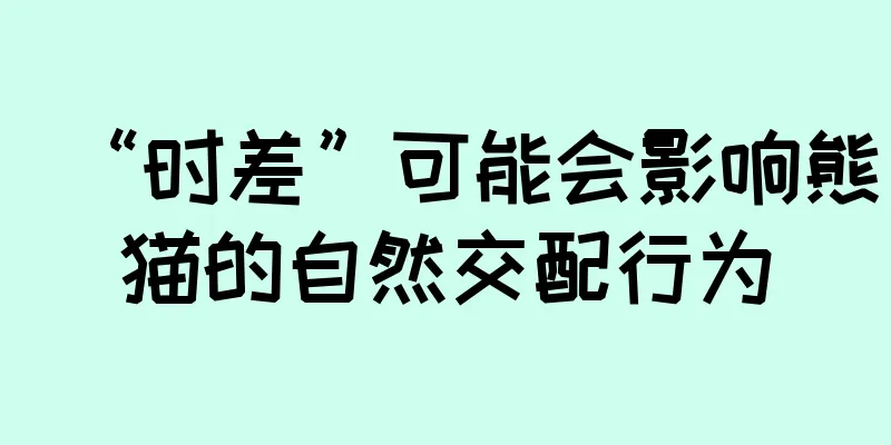 “时差”可能会影响熊猫的自然交配行为