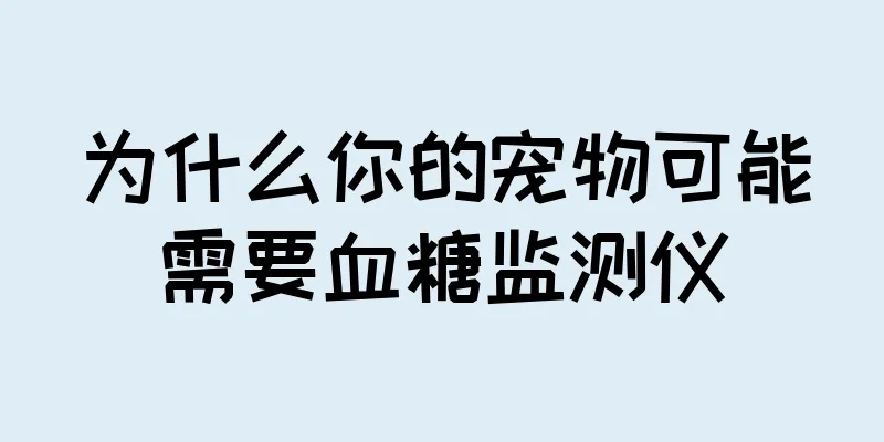 为什么你的宠物可能需要血糖监测仪