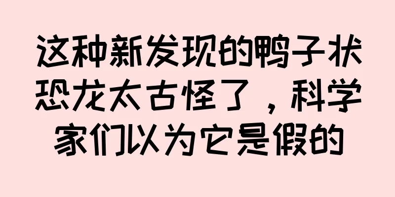 这种新发现的鸭子状恐龙太古怪了，科学家们以为它是假的