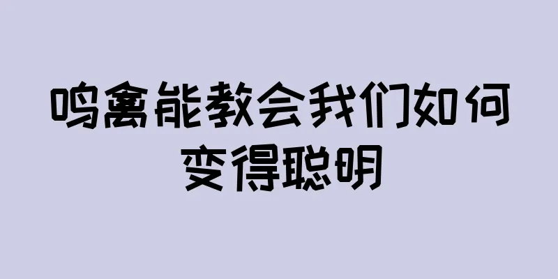 鸣禽能教会我们如何变得聪明