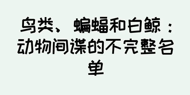 鸟类、蝙蝠和白鲸：动物间谍的不完整名单