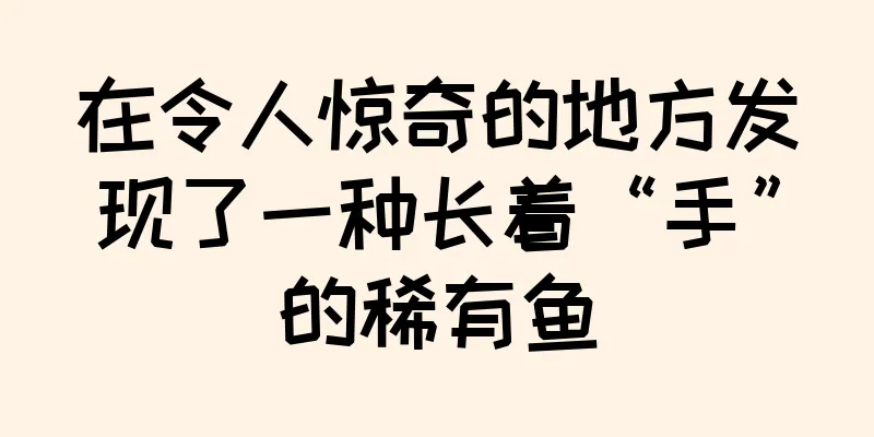 在令人惊奇的地方发现了一种长着“手”的稀有鱼