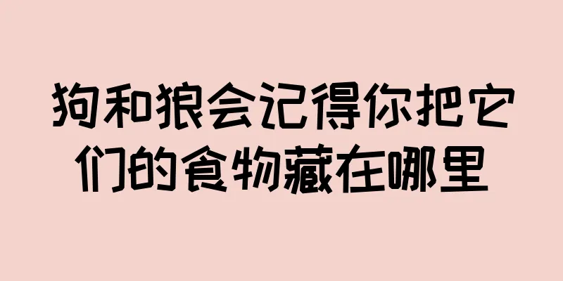 狗和狼会记得你把它们的食物藏在哪里
