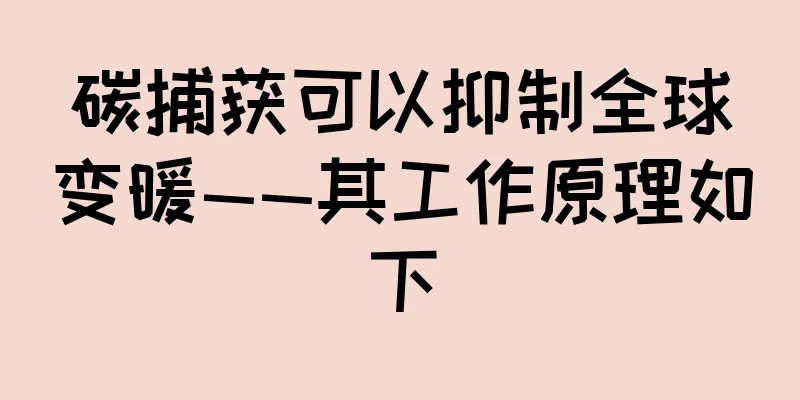 碳捕获可以抑制全球变暖——其工作原理如下