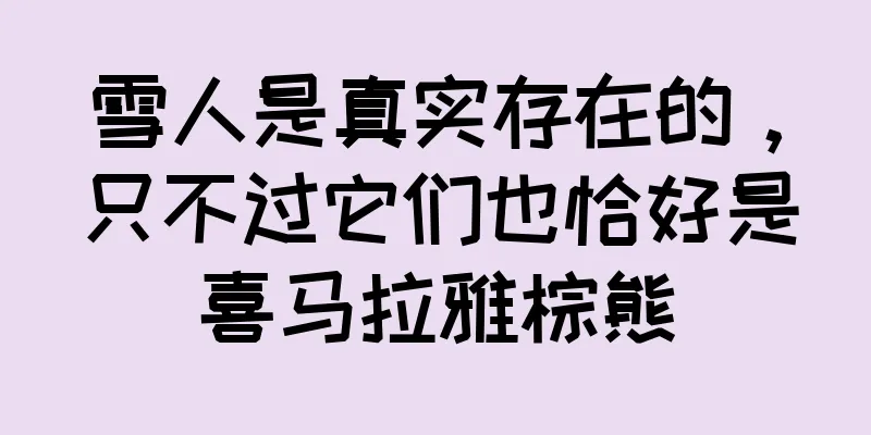雪人是真实存在的，只不过它们也恰好是喜马拉雅棕熊