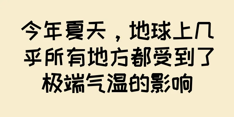 今年夏天，地球上几乎所有地方都受到了极端气温的影响