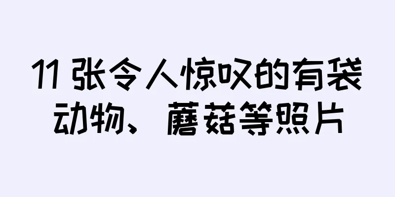 11 张令人惊叹的有袋动物、蘑菇等照片