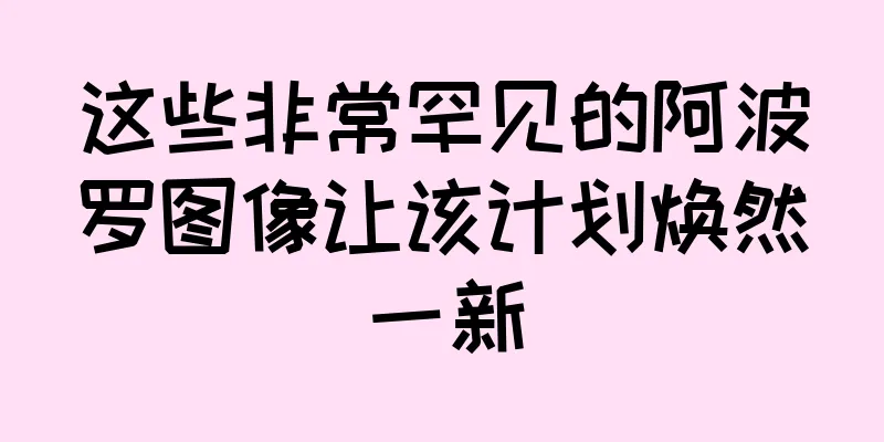 这些非常罕见的阿波罗图像让该计划焕然一新