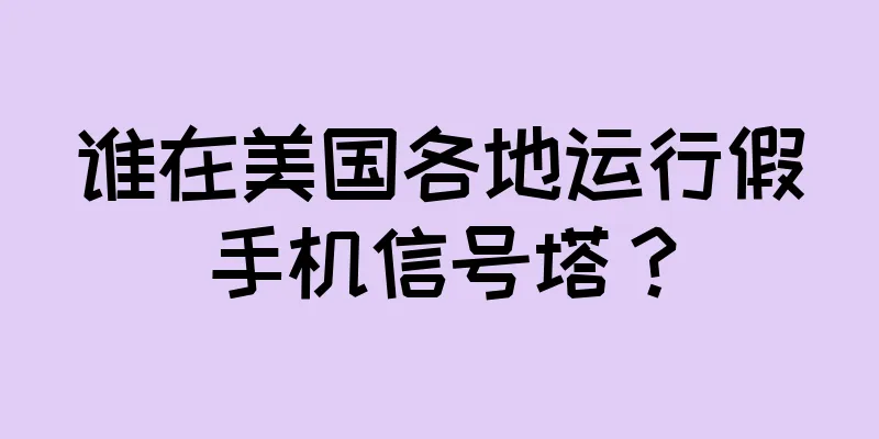 谁在美国各地运行假手机信号塔？