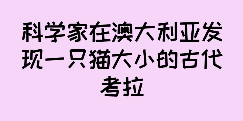 科学家在澳大利亚发现一只猫大小的古代考拉