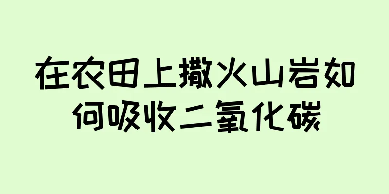 在农田上撒火山岩如何吸收二氧化碳