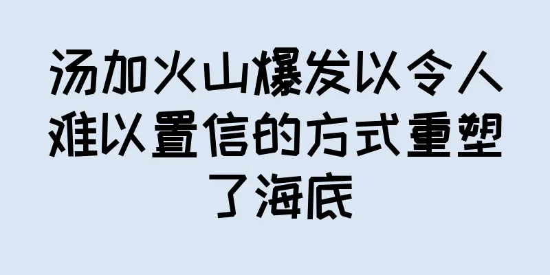 汤加火山爆发以令人难以置信的方式重塑了海底