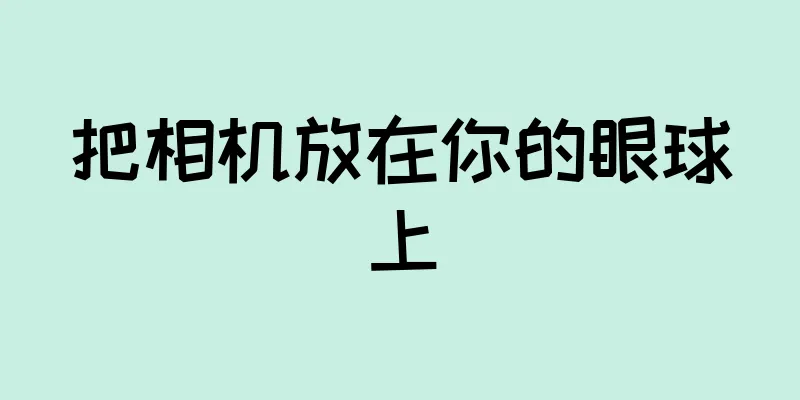 把相机放在你的眼球上