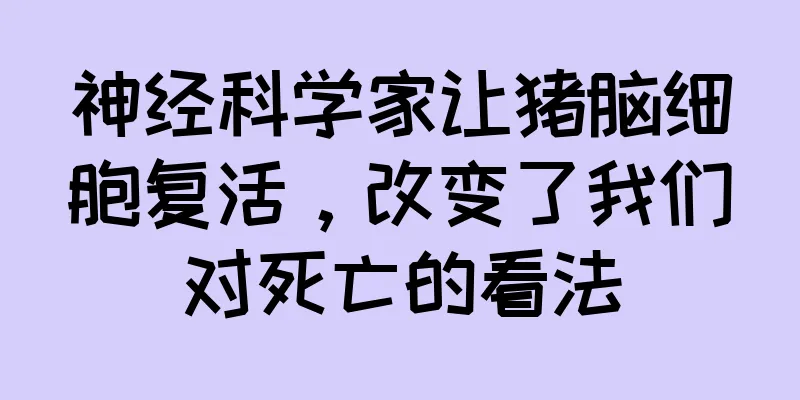 神经科学家让猪脑细胞复活，改变了我们对死亡的看法