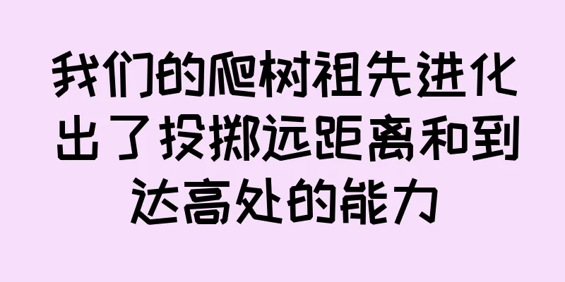 我们的爬树祖先进化出了投掷远距离和到达高处的能力