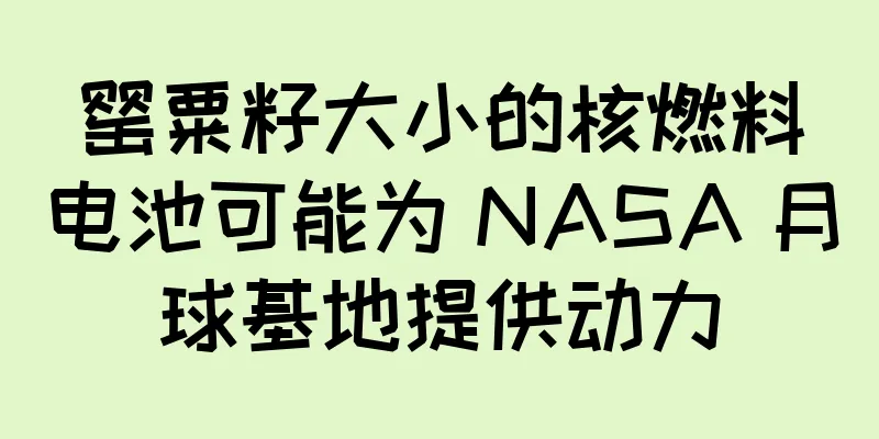 罂粟籽大小的核燃料电池可能为 NASA 月球基地提供动力
