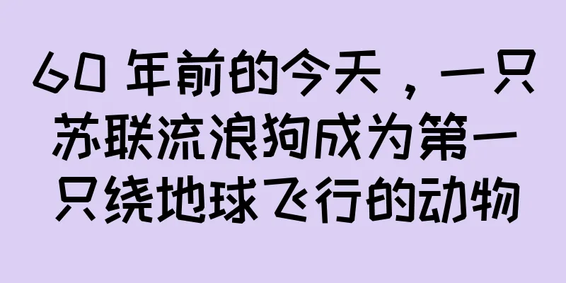 60 年前的今天，一只苏联流浪狗成为第一只绕地球飞行的动物