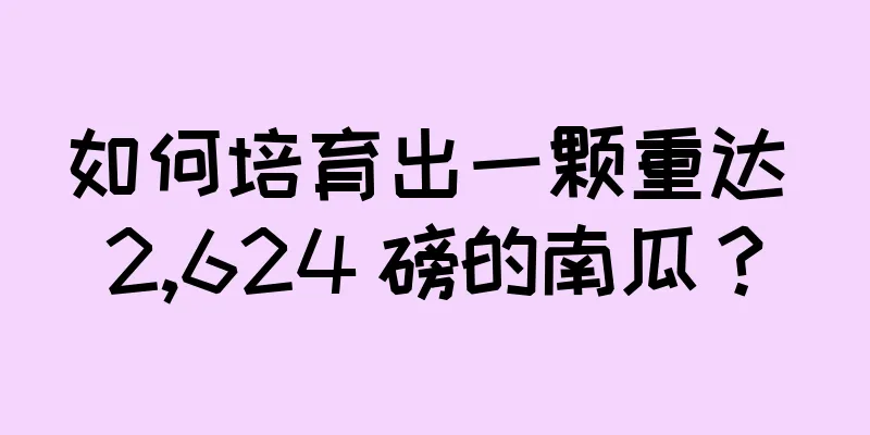 如何培育出一颗重达 2,624 磅的南瓜？
