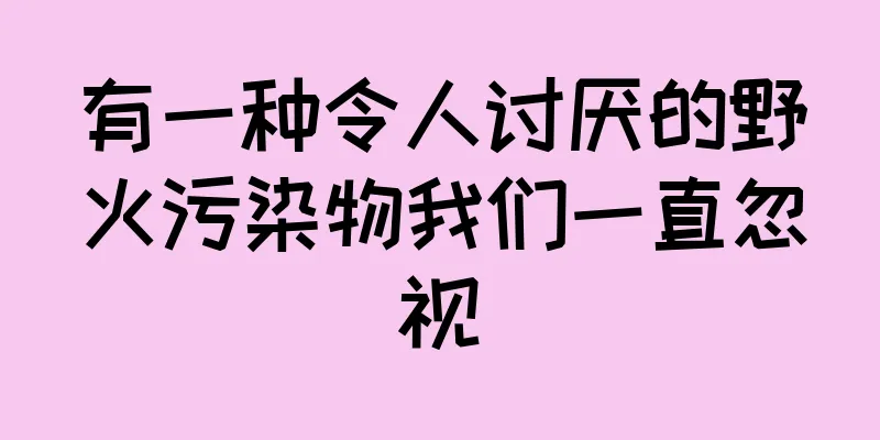 有一种令人讨厌的野火污染物我们一直忽视