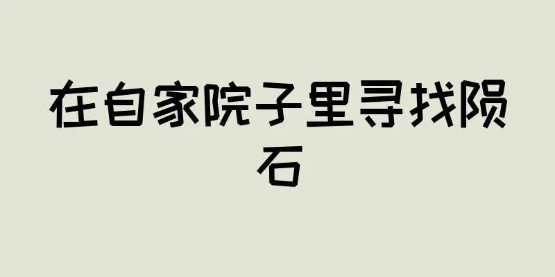 在自家院子里寻找陨石