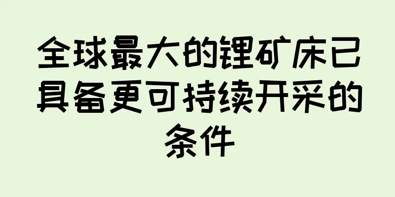 全球最大的锂矿床已具备更可持续开采的条件