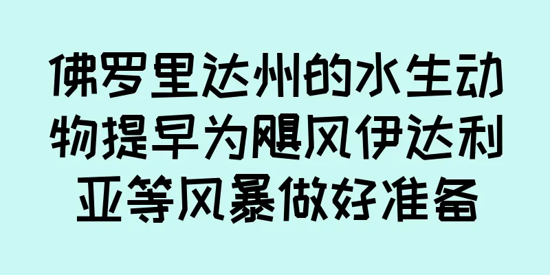 佛罗里达州的水生动物提早为飓风伊达利亚等风暴做好准备