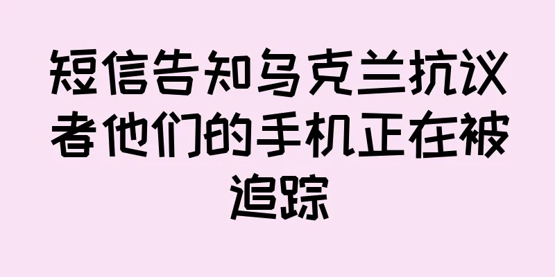短信告知乌克兰抗议者他们的手机正在被追踪