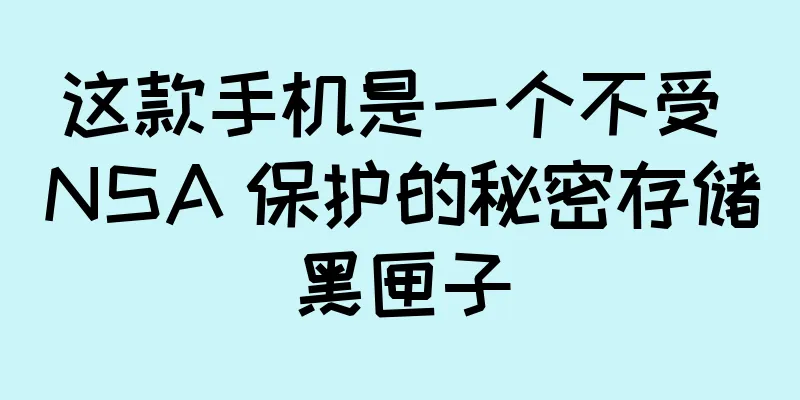 这款手机是一个不受 NSA 保护的秘密存储黑匣子