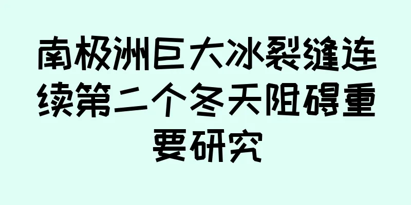 南极洲巨大冰裂缝连续第二个冬天阻碍重要研究