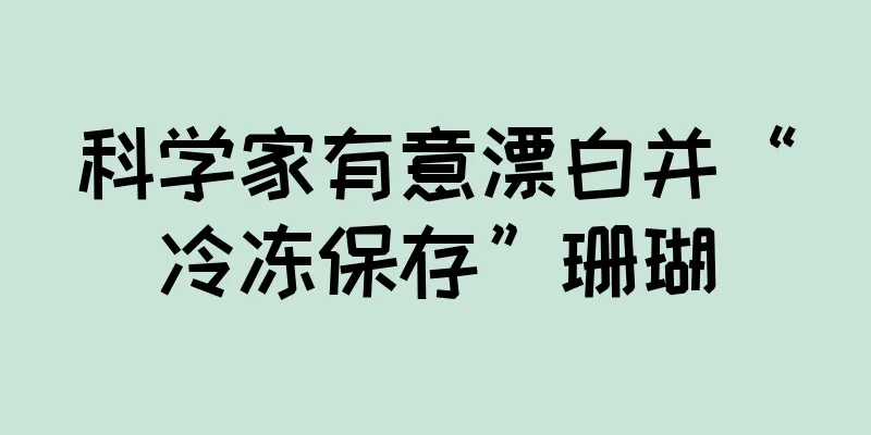 科学家有意漂白并“冷冻保存”珊瑚