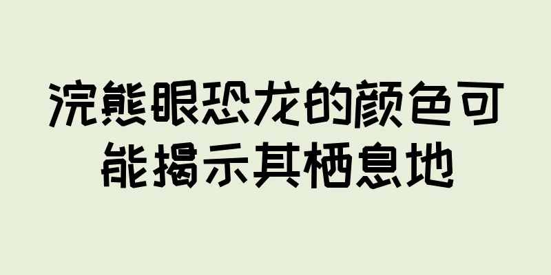 浣熊眼恐龙的颜色可能揭示其栖息地