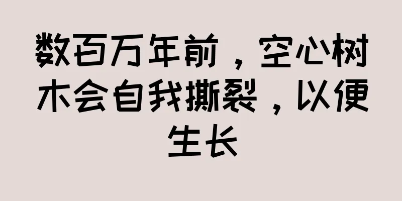 数百万年前，空心树木会自我撕裂，以便生长