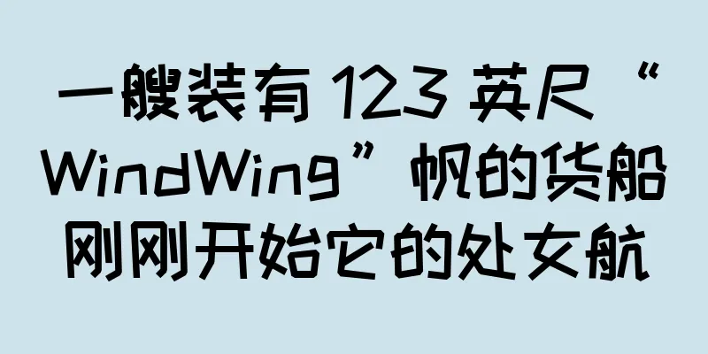 一艘装有 123 英尺“WindWing”帆的货船刚刚开始它的处女航
